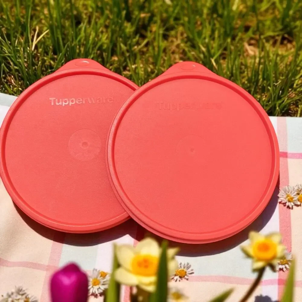 Tupperware Replacement Seal 6.5